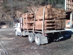 Mining Timbers